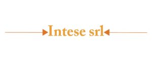 INTESE LOGO